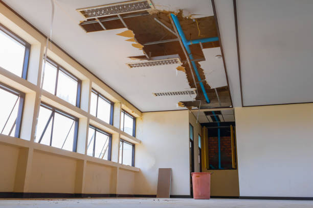Best Flood damage cleanup  in Ferndale, MD
