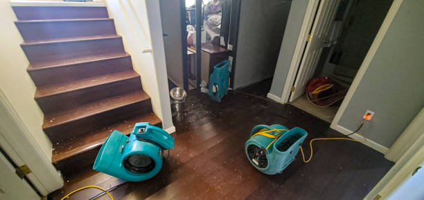 Best Local water damage restoration  in Ferndale, MD
