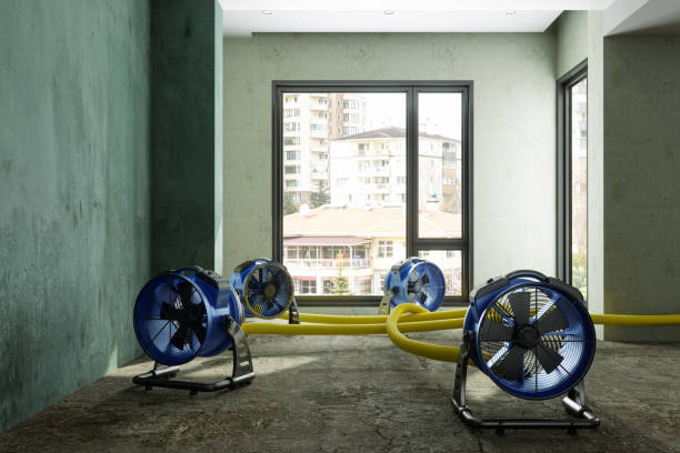 Best Water damage restoration near me  in Ferndale, MD